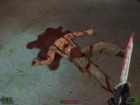une photo d'Ã©cran de Soldier of Fortune sur PC